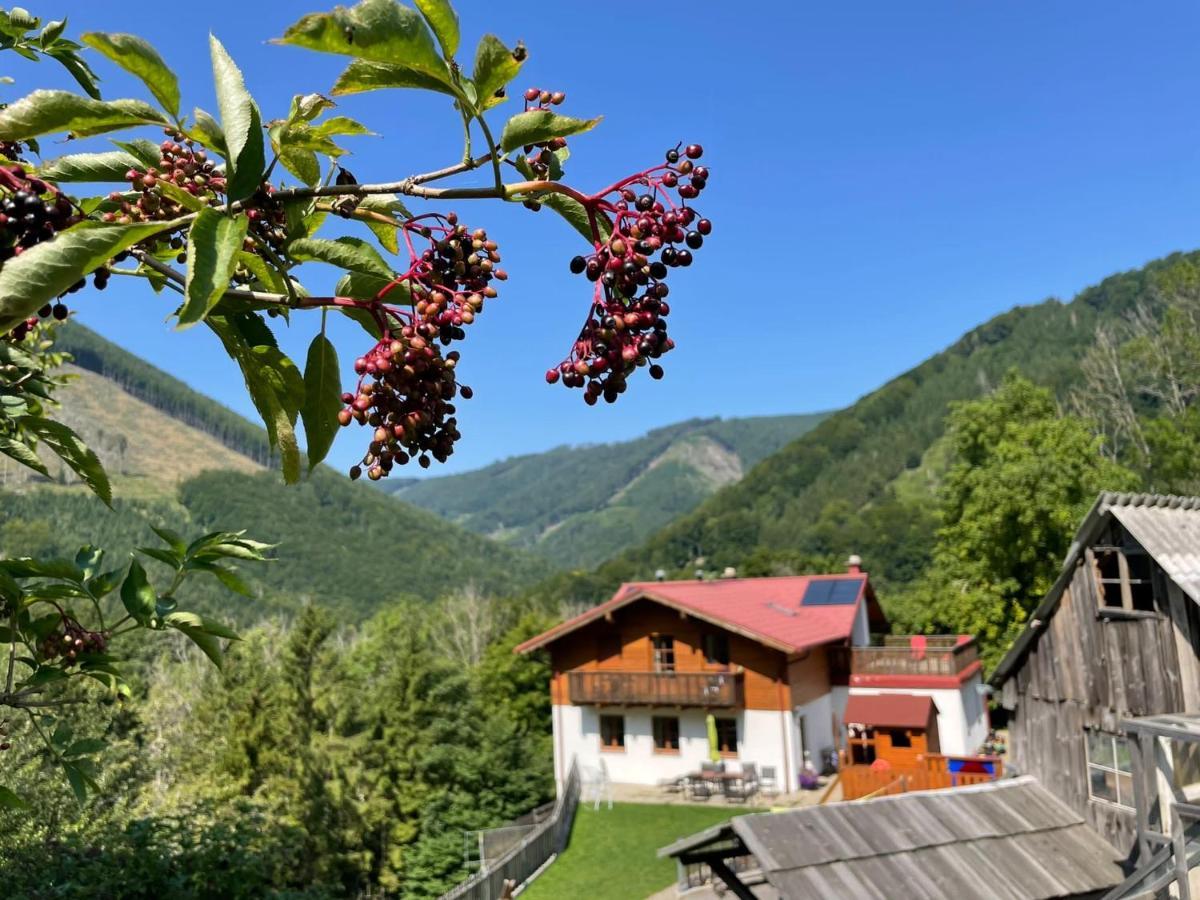 Buechlhof - App. Breitenstein Lilienfeld Exterior foto