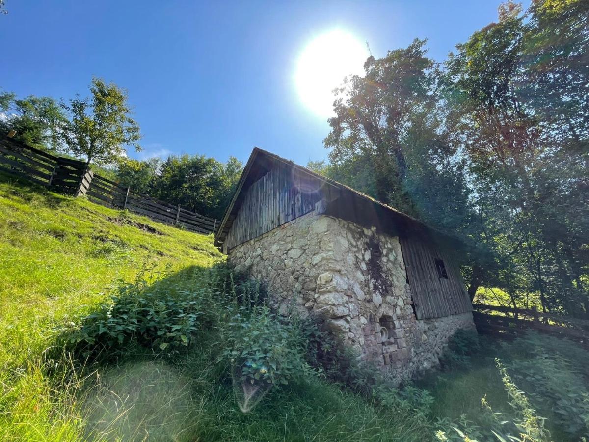 Buechlhof - App. Breitenstein Lilienfeld Exterior foto